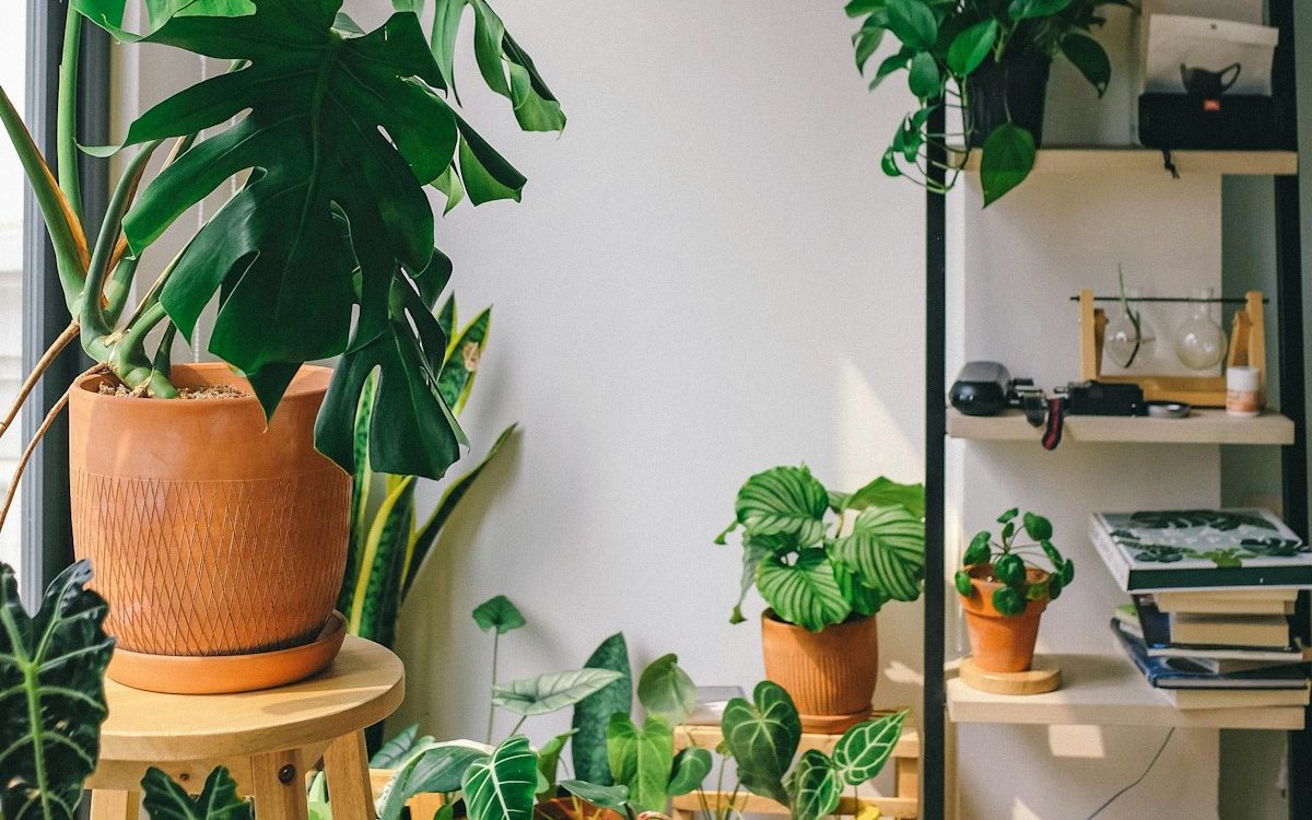 5 Health-Boosting Enhancements for Your Home