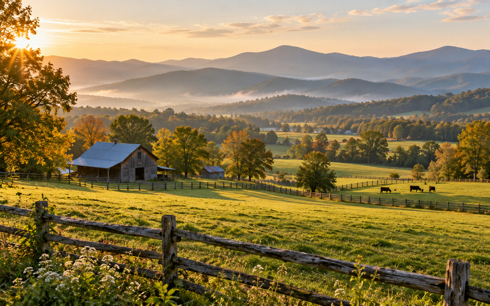 Rolling farm pasture in the Fairview countryside of Western North Carolina