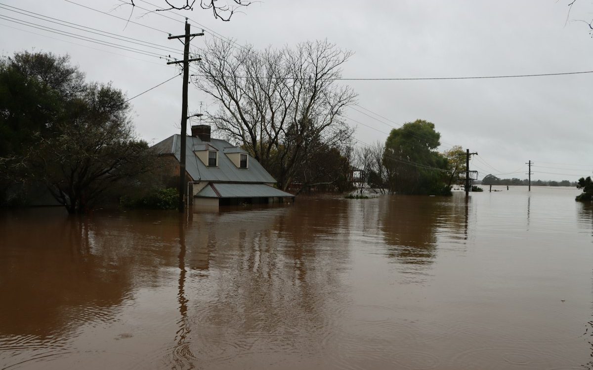 How to Prepare for Potential Disasters