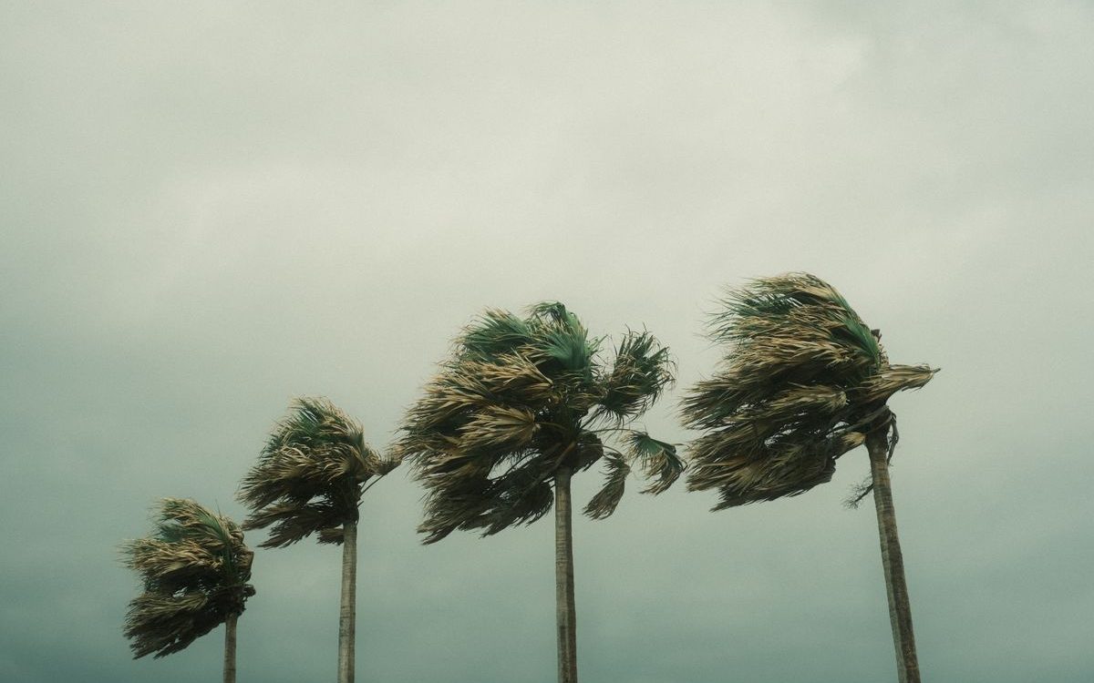How Best to Prepare When a Hurricane Hits