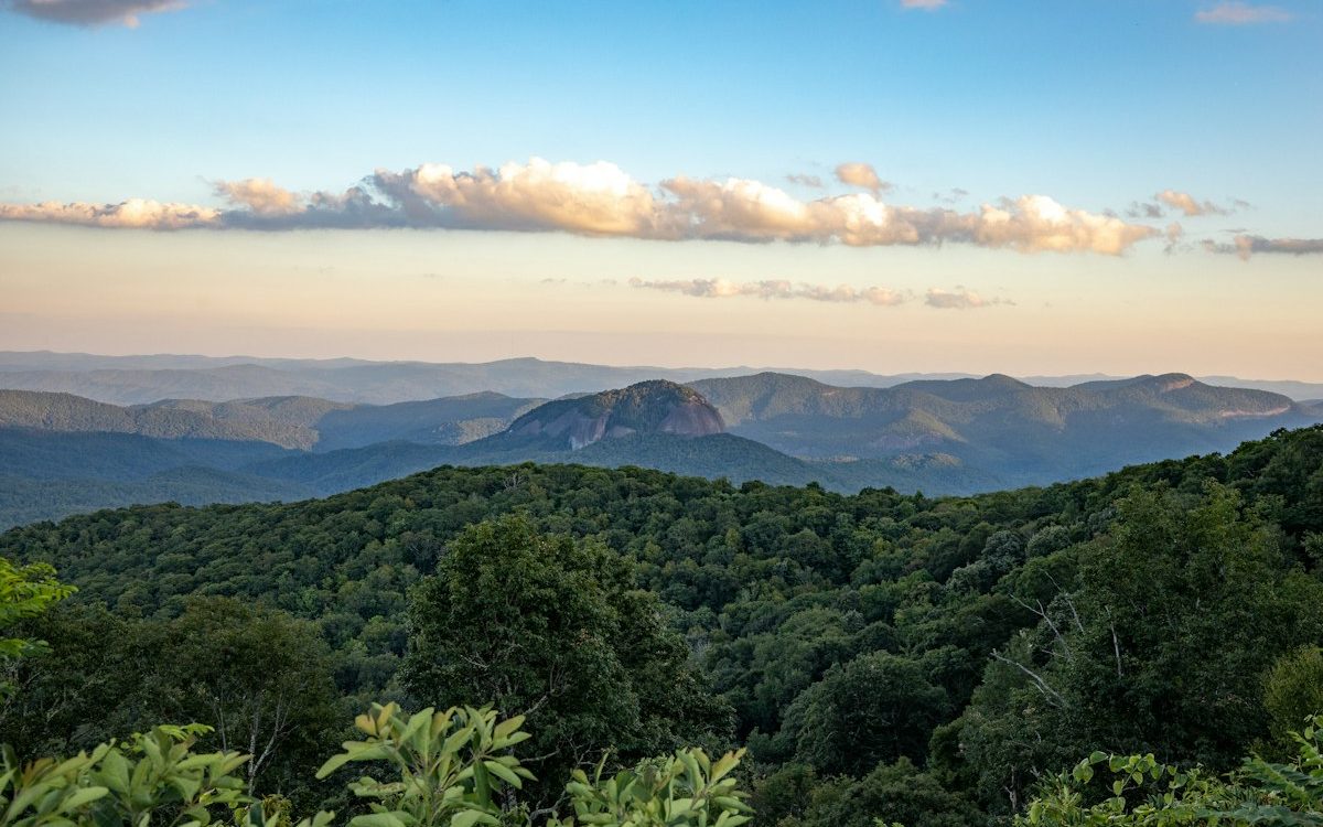 About Asheville, N.C.