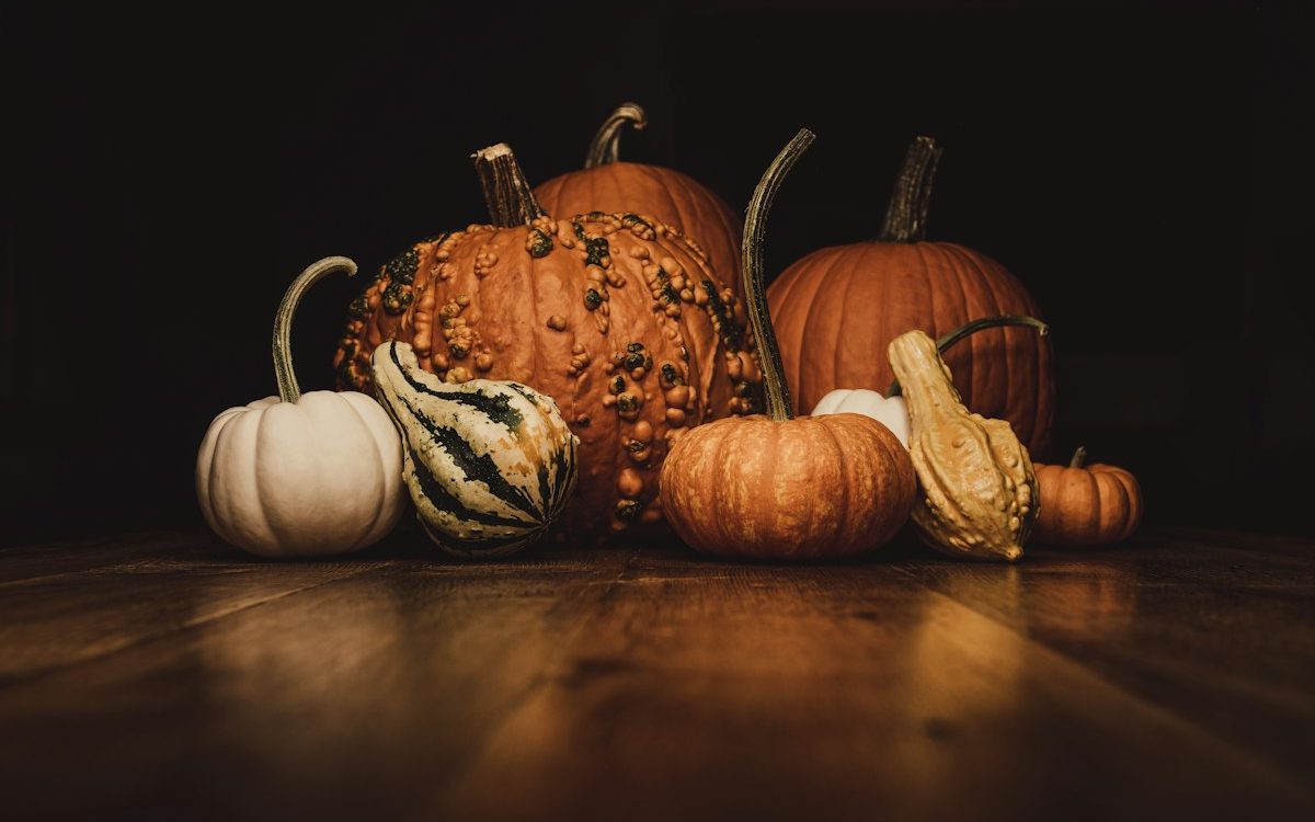 What are You Thankful For?
