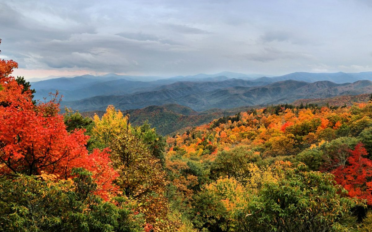 Asheville Fall Color Forecast for 2016