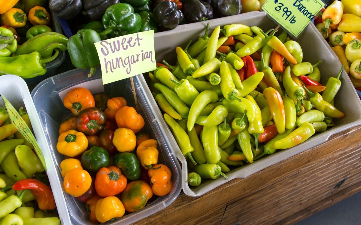 The "Farm to Table" Restaurant Craze