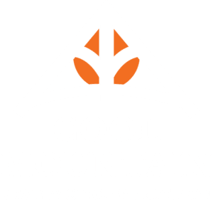 Cool Mountain Realty and Construction